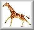 WhoZoo Home